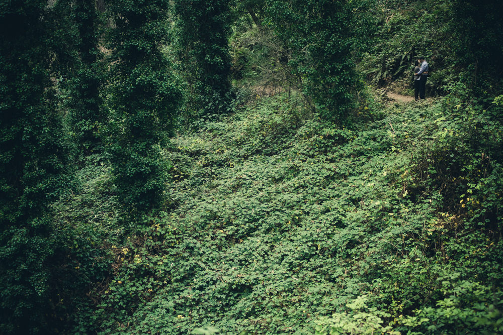 Mount Sutro Couples Engagement Portrait