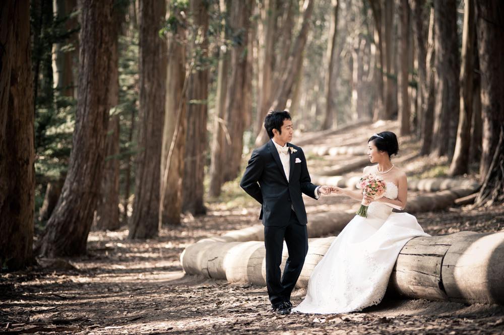 Wedding Portrait at Andy Goldsworthy Woodline