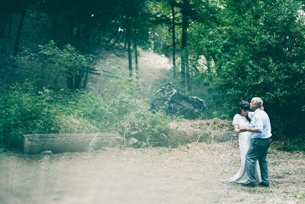 Beautiful father daughter dance in the woods